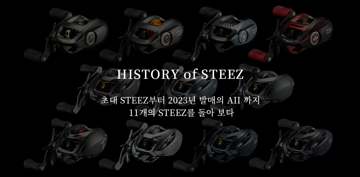 HISTORY of STEEZ