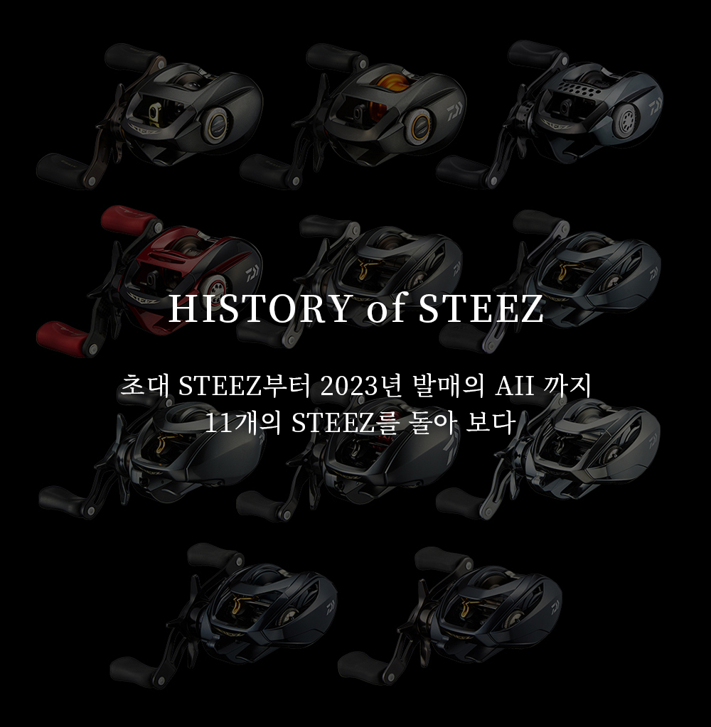 HISTORY of STEEZ